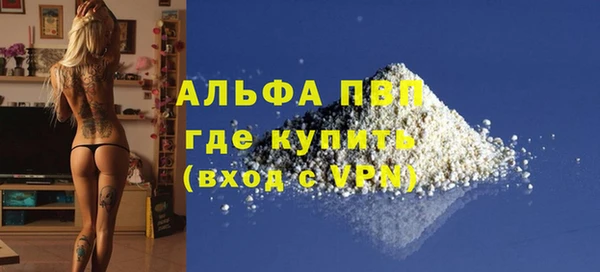 стаф Абинск