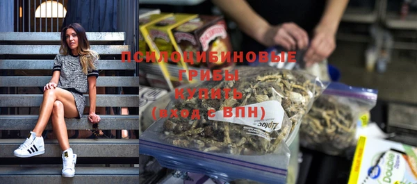 стаф Абинск