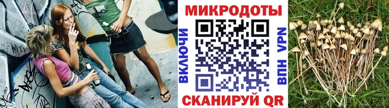 kraken ONION  Княгинино  Псилоцибиновые грибы Cubensis 